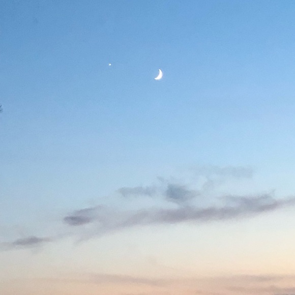 Meet your Posher, Michele - Picture 1 of 1